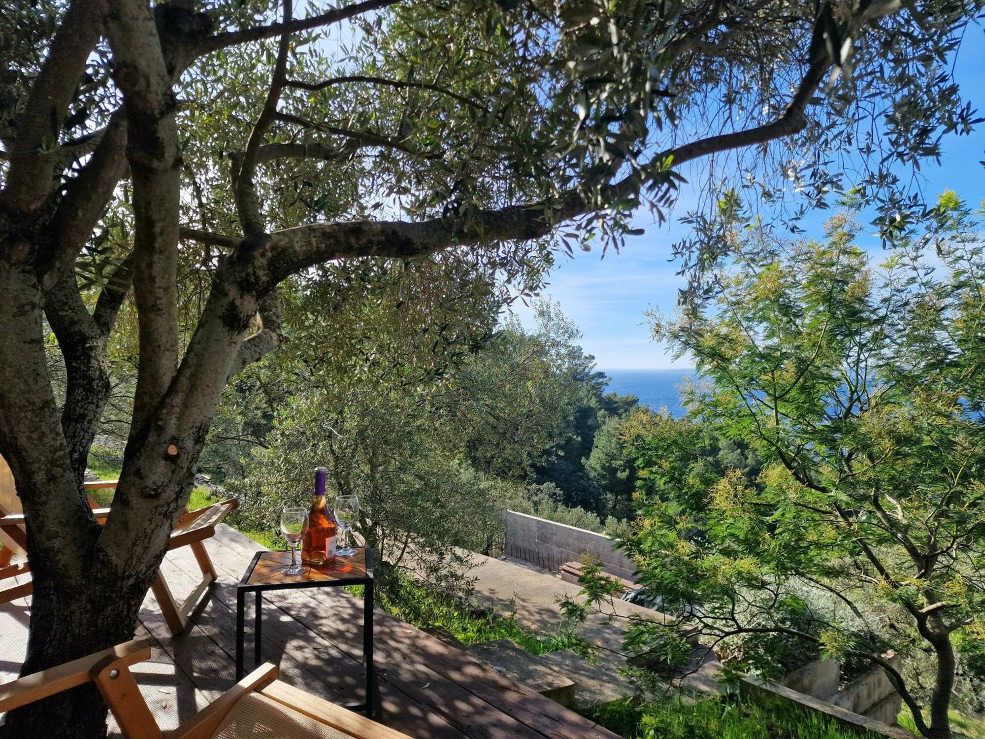 Holiday Home Maslinova ヴェラ・ルカ エクステリア 写真