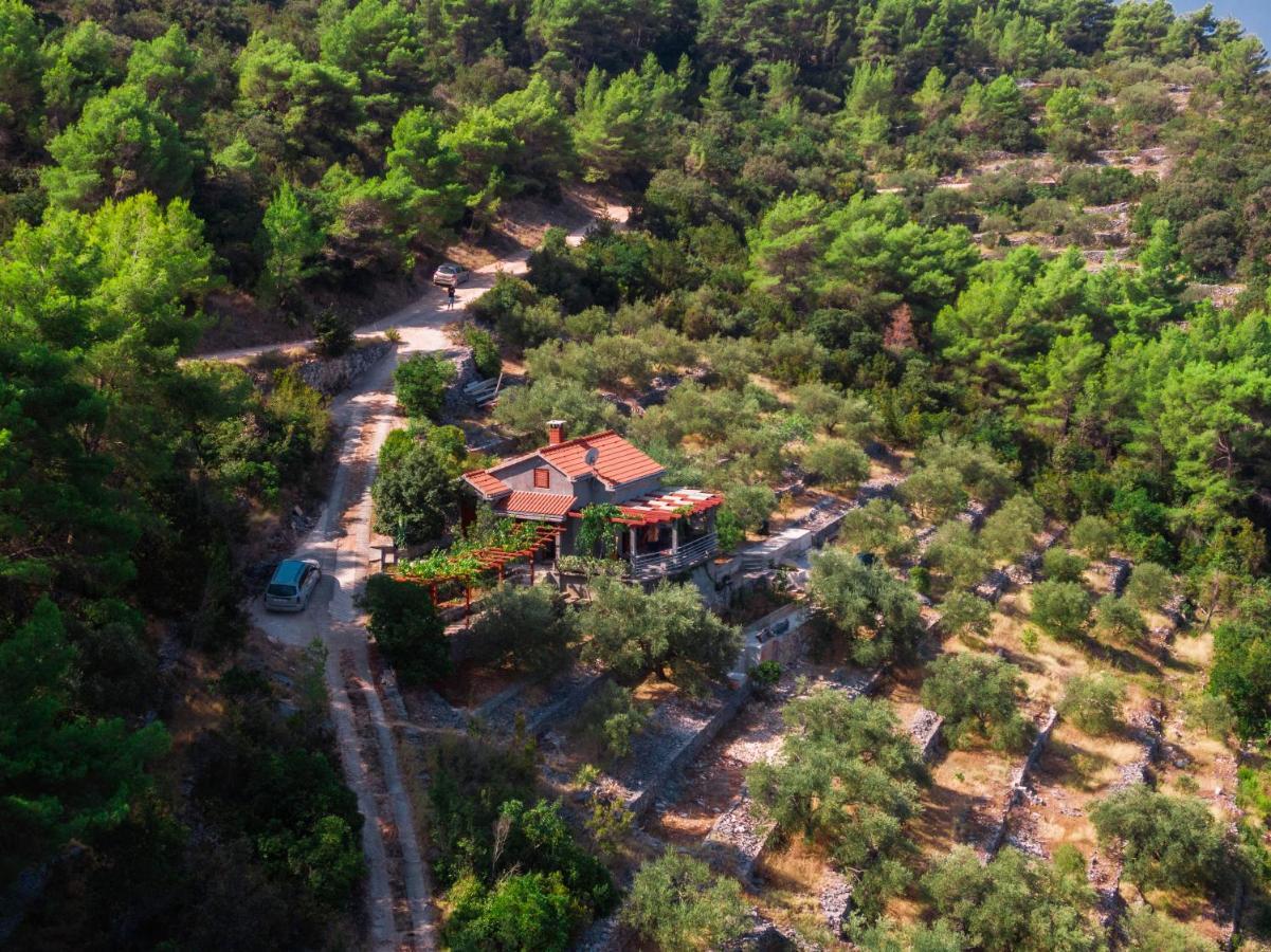 Holiday Home Maslinova ヴェラ・ルカ エクステリア 写真