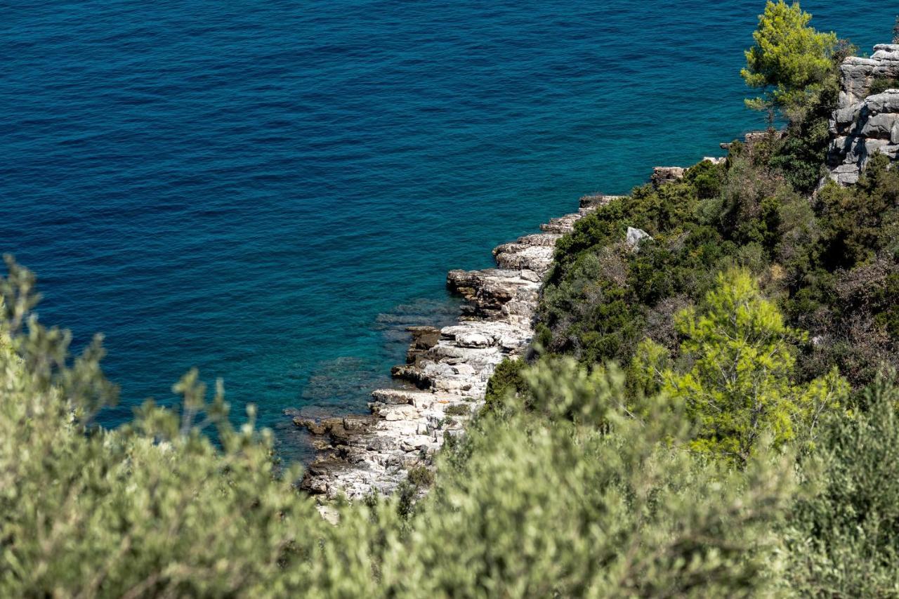 Holiday Home Maslinova ヴェラ・ルカ エクステリア 写真